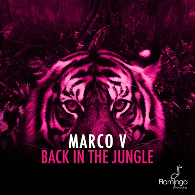 Back In The Jungle 專輯 Marco V/Rumors/Thomas Newson