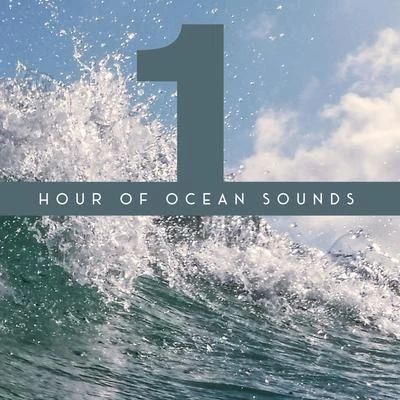 1 Hour of Ocean Sounds - Collection of Majestic Wave Sounds, Perfect New Age Background for Meditation, Relaxation, Sleep and Study 專輯 Deep Sleep Brown Noise/Echoes Of Nature/Relaxing Nature Sounds Collection