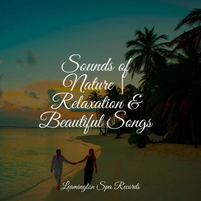 Sounds of Nature | Relaxation & Beautiful Songs 專輯 Asian Zen Spa Music Meditation