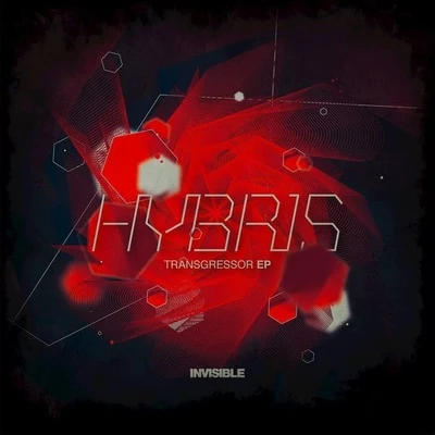 Transgressor 专辑 Balatron/Hybris/Shield (DK)/Corrupted/Høst