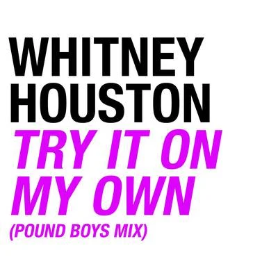 Try It On My Own (Pound Boys Mix) 專輯 Whitney Houston/Annie Lennox/D. Simmons/Karaoke Diamonds/Linda Thompson