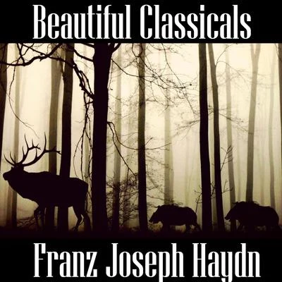 Beautiful Classicals: Franz Joseph Haydn 專輯 Franz Joseph Haydn