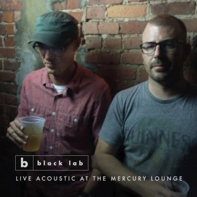 Black Lab Live Acoustic at the Mercury Lounge