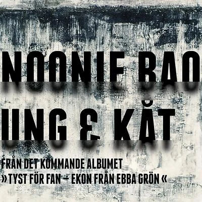 Ung & kåt 專輯 Noonie Bao