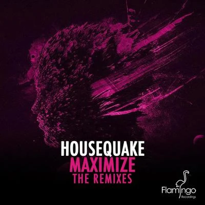 Maximize (The Remixes) 专辑 Housequake