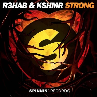 R3hab Strong