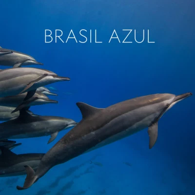 Brasil Azul (Trilha Sonora Original do Filme) 專輯 Gyorgy Lehel/Budapest Symphony Orchestra/Jenő Jandó