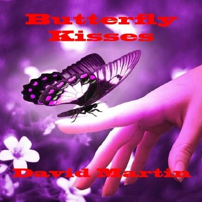 Butterfly Kisses 专辑 Mike Doolin/David Martín