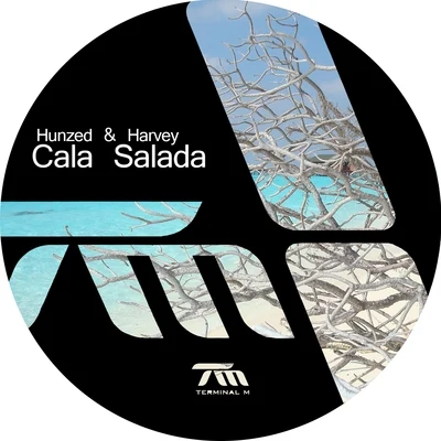 Cala Salada 专辑 Hunzed