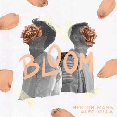 Hektor MassAlec Villa Bloom