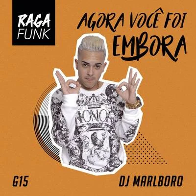 Agora Você Foi Embora 專輯 MC G15