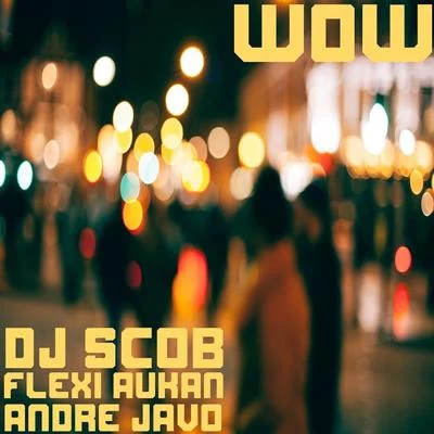 Wow (feat. Flexi Aukan & Andre Javo) 专辑 Flexi Aukan