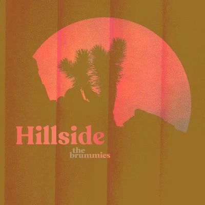 Hillside 專輯 The Brummies