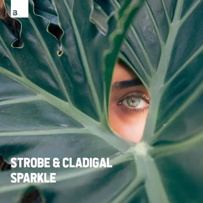 Sparkle 專輯 Strobe/Sebastian Ingrosso/Addy van der Zwan/Hardwell/Mark Brown