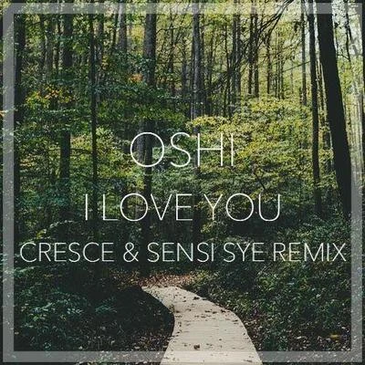 I love you (c熱水CES恩斯S也remix) 專輯 Cresce