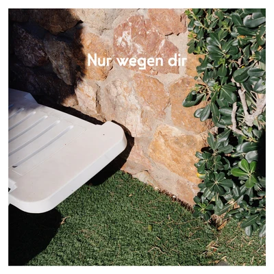 Nur wegen dir 專輯 Giant Rooks/AnnenMayKantereit