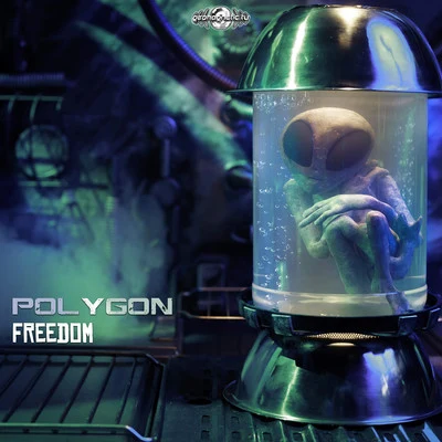 Freedom 專輯 Polygon