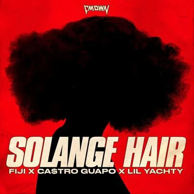 Solange Hair 專輯 Ca$tro Guapo