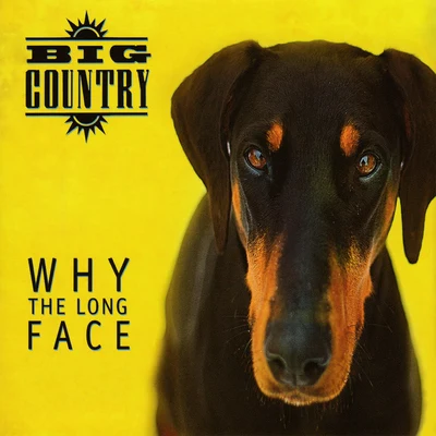 Big Country Why the Long Face (Bonus Tracks & Demos)