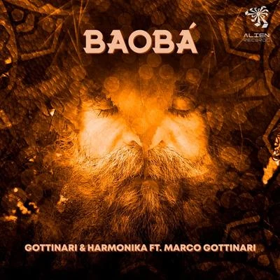 Baobá 專輯 Gottinari