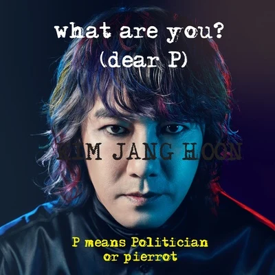 What are you? (dear P. Politician or Pierrot) 专辑 金长勋/DECEMBER/金亨中/孙俊浩/朴基英