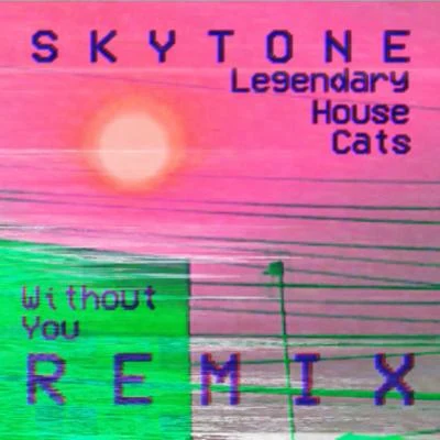 Without You (feat. Legendary House Cats) (Remix) 專輯 Skytone