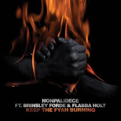 Keep the Fyah Burning 专辑 Nonpalidece