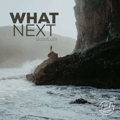 What Next 專輯 Goodluck/De Hofnar