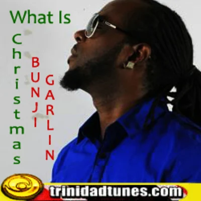 What Is Christmas 專輯 Bunji Garlin/Sheriff