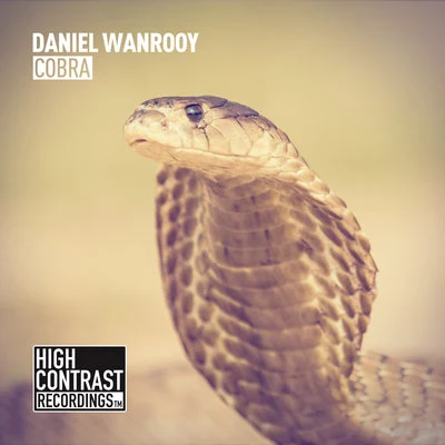 Cobra 专辑 Egbert/Daniel Wanrooy/Cosmic Gate/Gaia/Fabio XB