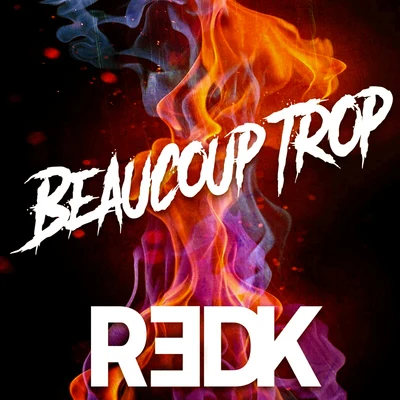 Beaucoup trop 专辑 L.O./R.E.D.K./Sat L'Artificier