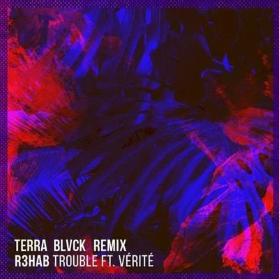 TERRA BLVCK Trouble (TERRA BLVCK Remix)