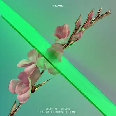 Flume Never Be Like You (Disclosure Remix)