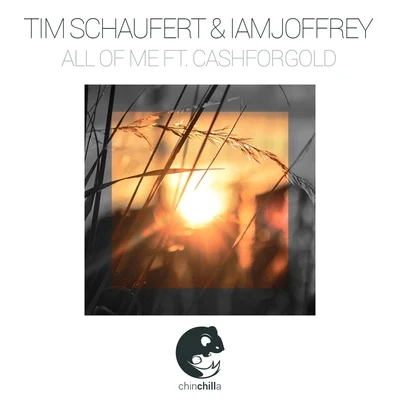 Tim Schaufert All Of Me