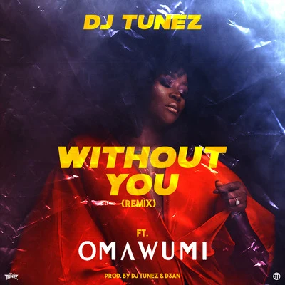 Without You (Remix) 專輯 Dj Tunez