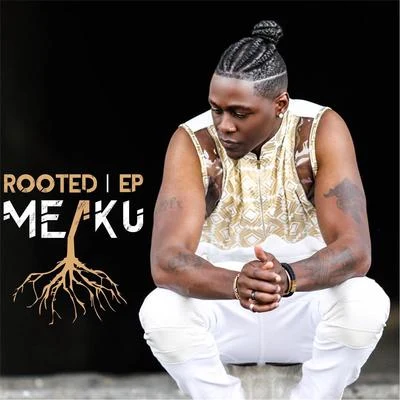 Rooted 專輯 Meaku/Teffler/Ricky Breaker