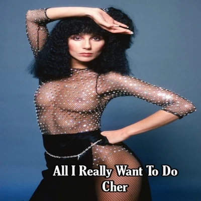 All I Really Want To Do - Cher 專輯 Cher