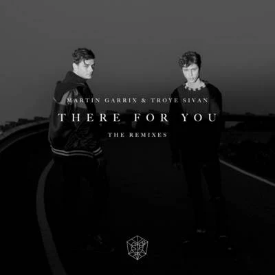 Troye SivanKacey MusgravesMark Ronson There For You: The Remixes