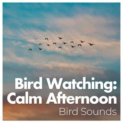 Bird Watching: Calm Afternoon 专辑 Bird Song Group/Bird Sounds