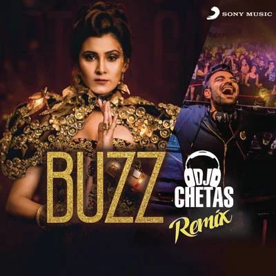 Buzz (DJ Chetas Remix) 专辑 Aastha Gill