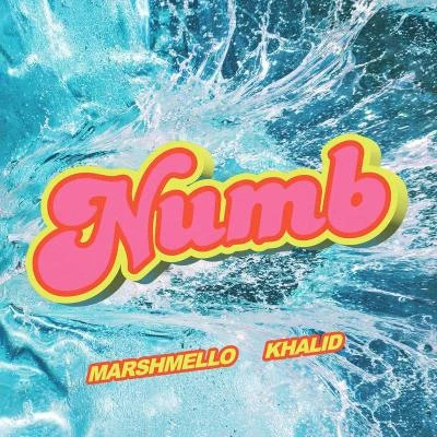 Khalid Numb