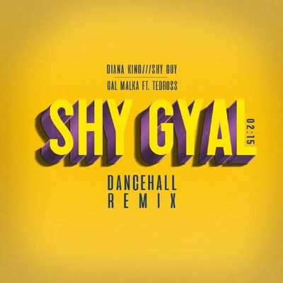 Shy Gyal (Dance Hall Remix) 專輯 DJ Gal Malka