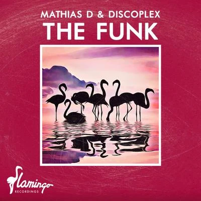 DiscoplexNew OrderRobbie Rivera The Funk (Extended Mix)