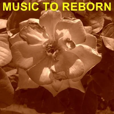 Music To Reborn 专辑 Robert Williams