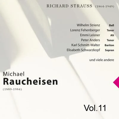 Michael Raucheisen Vol. 11 專輯 Walther Ludwig/Michael Raucheisen