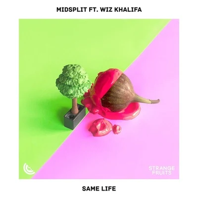 Same Life 专辑 Midsplit/Rhea Raj