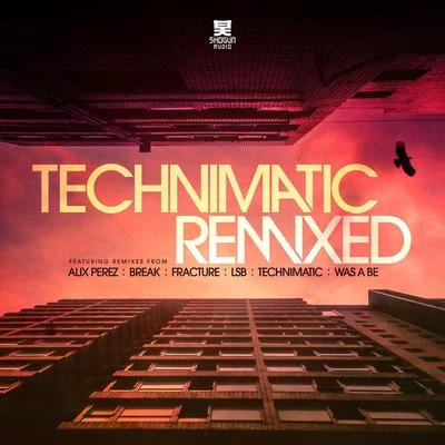 Technimatic Remixed 专辑 Technimatic/Matt Wilson