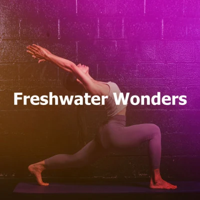 Freshwater Wonders 專輯 Meditation Relaxation Club