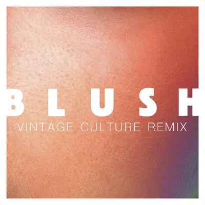 Blush (Vintage Culture Remix) 专辑 Elekfantz