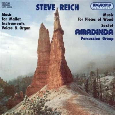 Music for Mallet Instruments 專輯 Steve Reich/Robert Ashley/Iannis Xenakis/Terry Riley/La Monte Young